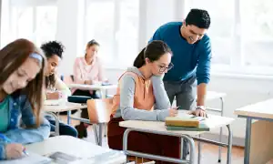 Docência Em Letras E Práticas Pedagógicas