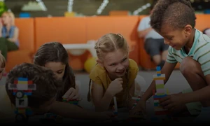 Educação Especial Inclusiva E Transtorno Do Espectro Autista (Tea)