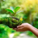 Engenharia Sanitária E Ambiental