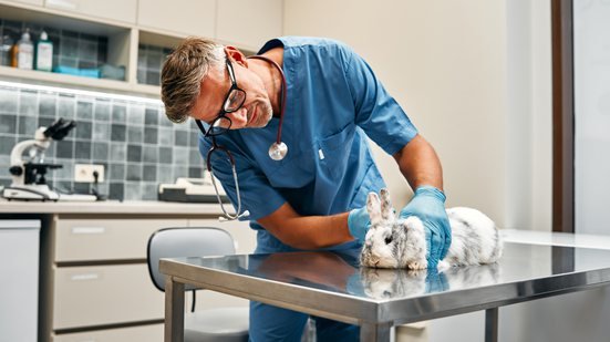 Medicina Veterinária Legal