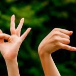 Tradução E Interpretação Da Língua Brasileira De Sinais